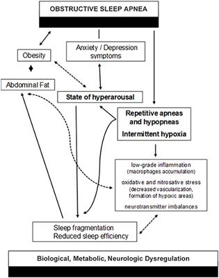 Editorial: The Complex Interaction Between Biological, Metabolic and Neurologic Dysregulation in Obstructive Sleep Apnea